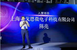 實(shí)力不容小覷的25家中國(guó)芯企業(yè) 硬核實(shí)力與計(jì)算機(jī)軟硬件技術(shù)開發(fā)深度剖析