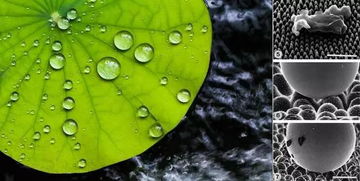 化纖不透氣？你媽覺得該這么穿，真不一定對！